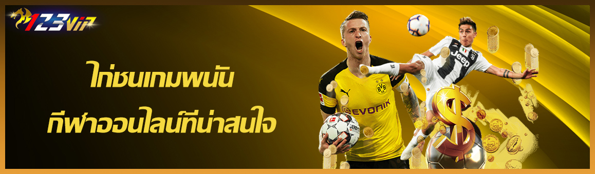 ไก่ชนเกมพนันกีฬาออนไลน์ที่น่าสนใจ
